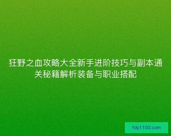狂野之血攻略大全新手进阶技巧与副本通关秘籍解析装备与职业搭配